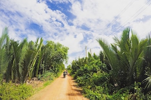 Vespa Tour: The glimpse of the Mekong - full day share tour