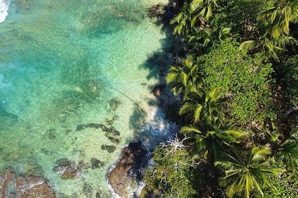 Private Caribbean Tour: Puerto Viejo & Manzanillo from San José