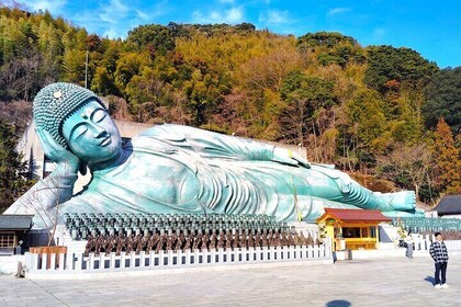 Fukuoka & Hakata Private Tour with Optional Port Pickup