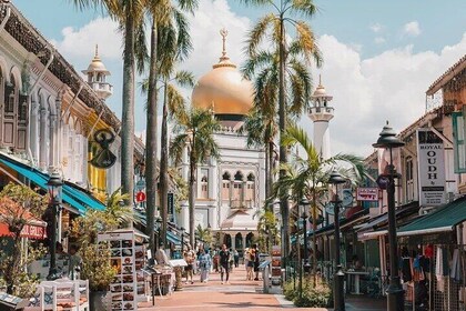 Discover Singapore Cultural Heritage on a Private Walking Tour