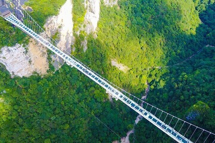 Zhangjiajie to Avatar Mountain and Glass Bridge Private Tour
