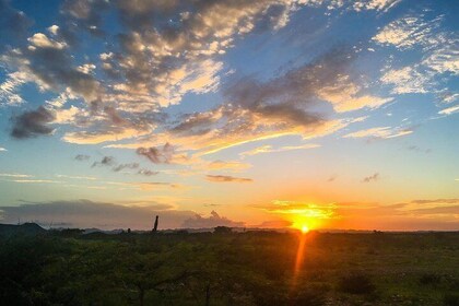 The Native Expedition Through The Guajira Desert