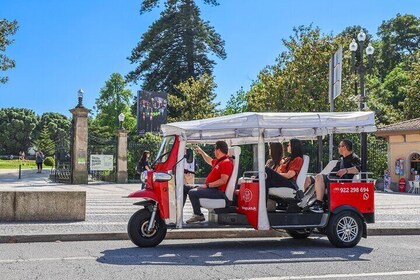 Private 4 Hour Tuk Tuk Tour with Port Wine Cellar Visit & Tasting