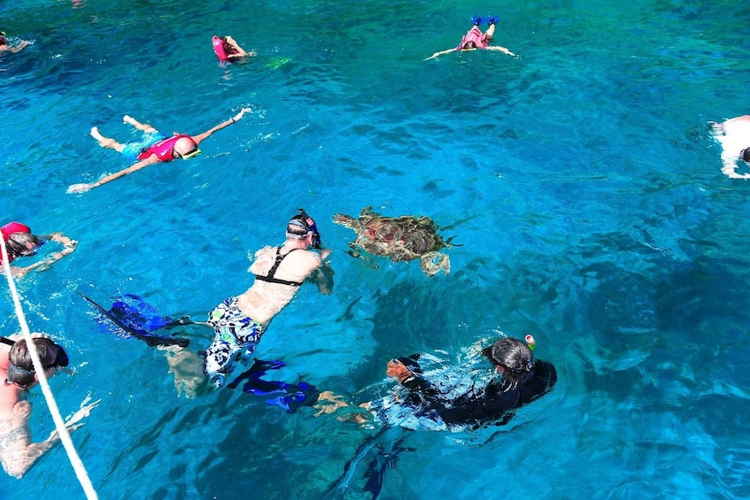 Similan Islands Snorkel Tour by Fantastic Similan from Phuket
