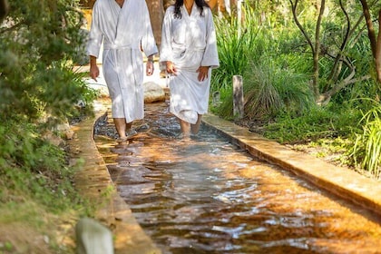 Depart Peninsula: Mornington Wine & Hot Springs Tour with Lunch