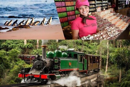 Melbourne Puffing Billy Penguin Yarra Valley Wine choc Tour
