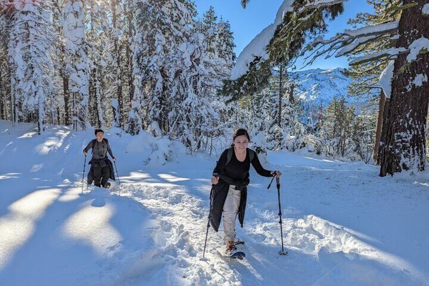 Introductory Snowshoe Shared Experience