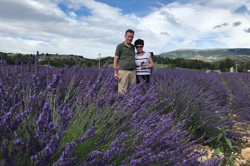 Lavender fields as far as the eye can see