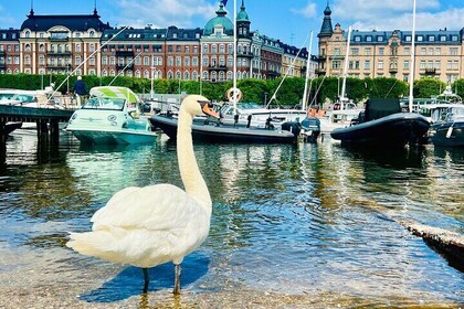 Private Stockholm Luxury Car Adventure City Tour with Guide