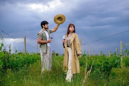 Wine Tasting and Vineyard Lunch