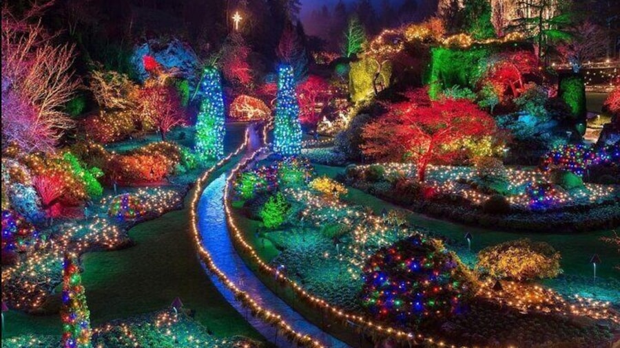 Shuttle Bus to Magic of Christmas at The Butchart Gardens