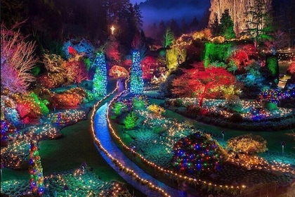 Shuttle Bus to Magic of Christmas at The Butchart Gardens