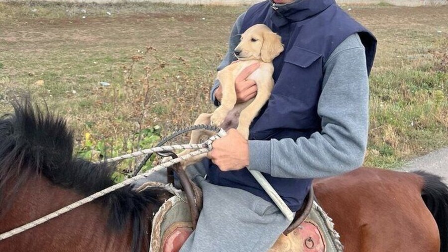 Kazakh Horseback Hunting and Yurt Dinner