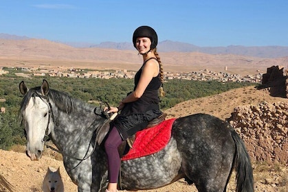 Dades Gorge Horse Ride through Roses Valley and Kasbahs