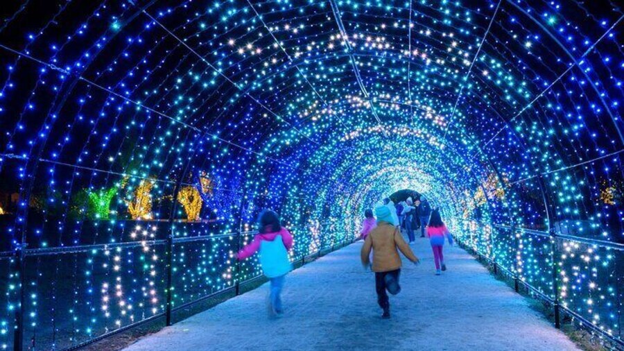 Experience Filoli Gardens Glow Night Wonderland and Light Tour