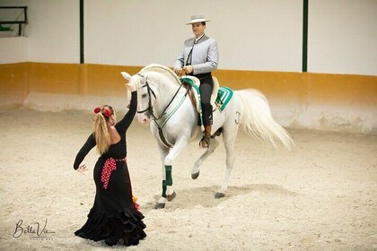 Andalusische paarden- en flamencoshow in Malaga om 17:45 uur.