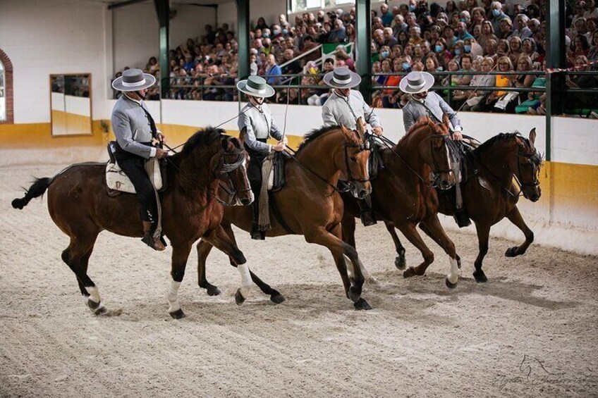 Andalusian Horses and Flamenco show with transportation