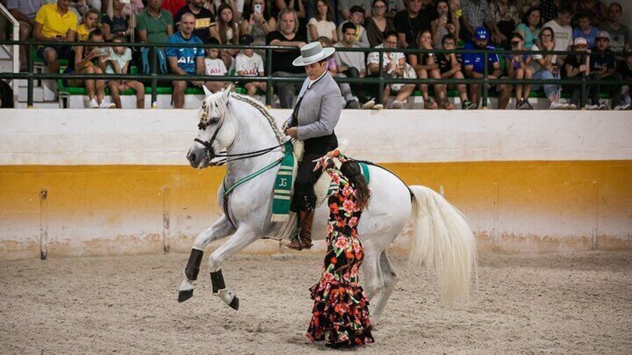 Andalusian Horses and Flamenco show with transportation
