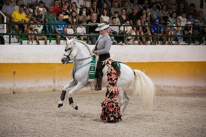 Spectacle de chevaux andalous et de flamenco à Malaga à 17h45.