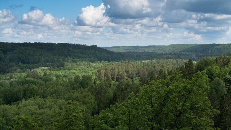 From Riga: Walk in Gauja National park with Photographer