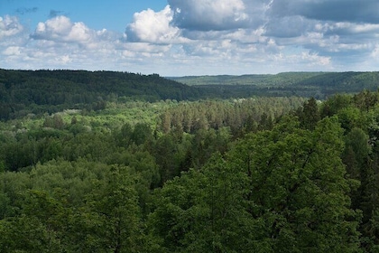From Riga: Gauja National Park hike with Photographer in Sigulda