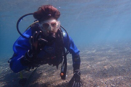 Experience Dry Suit Diving : 1 Beach + 1 Boat Dive in Kushimoto