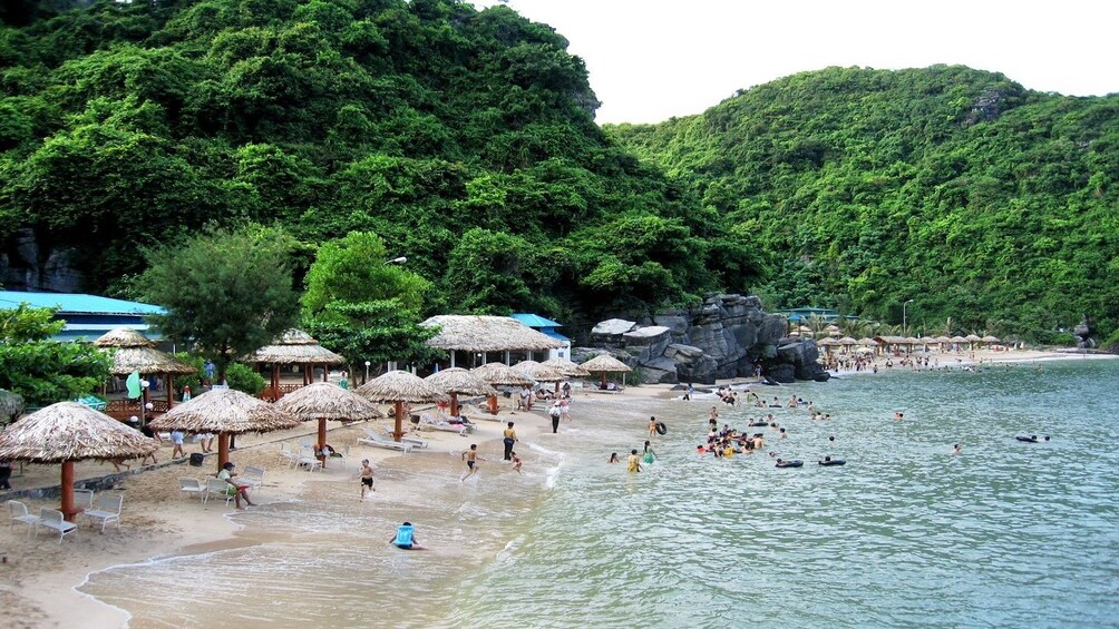 Guests swimming on Cát Bà Island