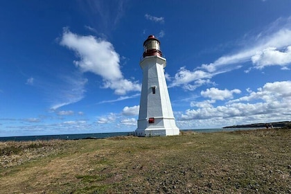 Sydney's Story: From Downtown to Coastline