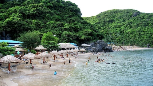 Baie d’Halong et Île Cat Ba - 3 jours 2 nuits