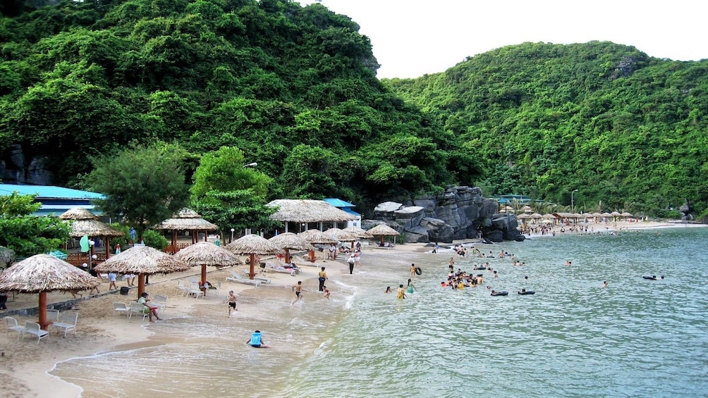 Guests swimming at Cat Ba Island