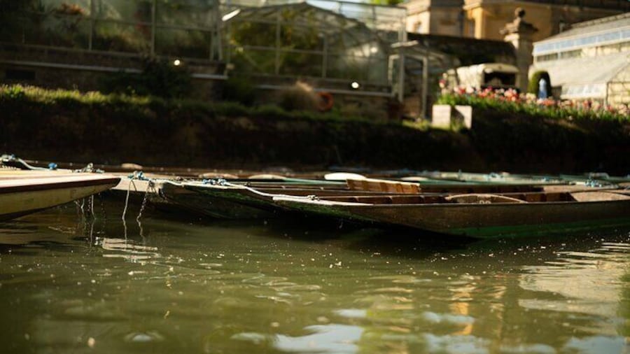 Shared | Oxford University Punting Tour