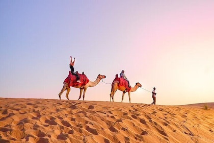 Red Dunes Evening Desert Safari and BBQ Dinner Optional Quad Bike