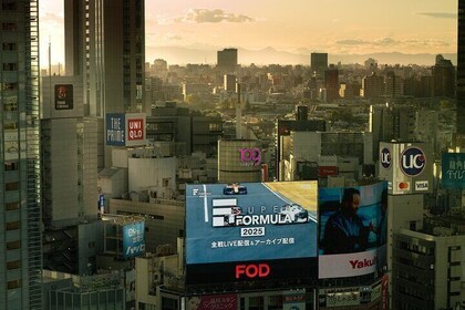 Tokyo City Private Full Day TOUR