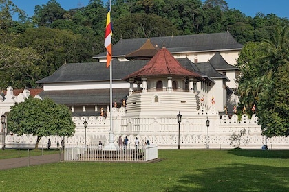 Best of Sri Lanka 7 Day All-inclusive Tour