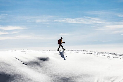 Arctic Sightseeing and Snowshoe Hike