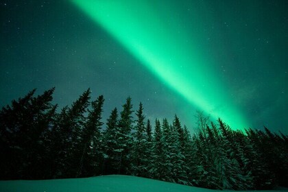 Adults Only Aurora Hunt in the Finnish Wilderness