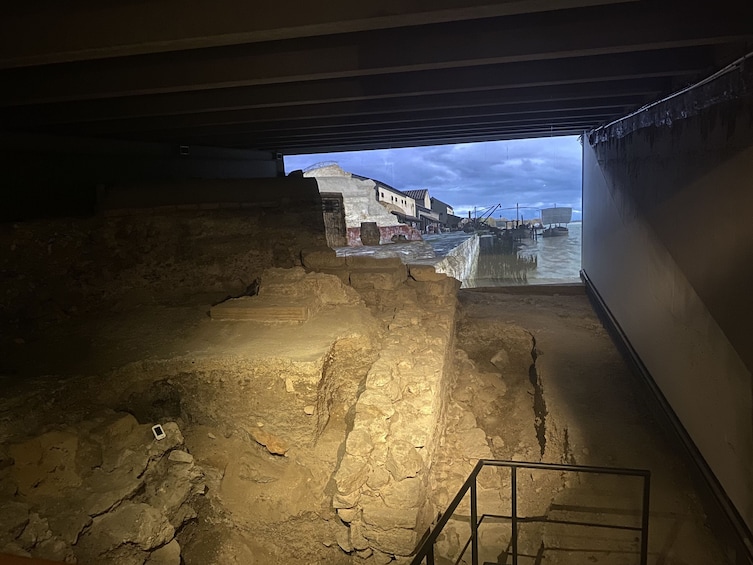 Notre Dame Outdoor Walking Tour with Crypt Entry