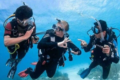 Hurghada Diving for Certified Diver with Lunch Drinks Transfer