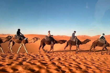 3 Days Desert Tour from Fez to Marrakech