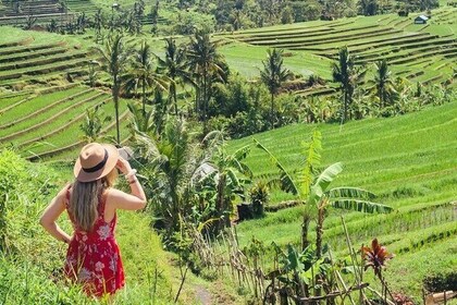 Mystical North Bali Temples, Waterfalls, and Culture