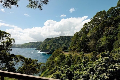 Private Luxury Road to Hana Experience