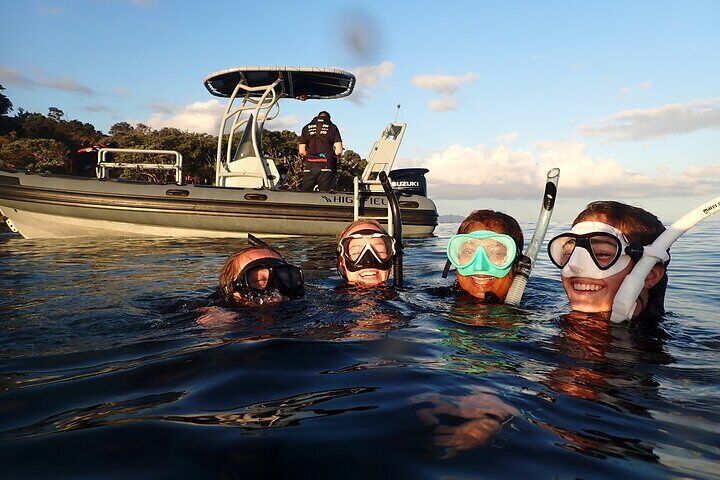 Goat Island Experience Guided Boat Snorkel Tour