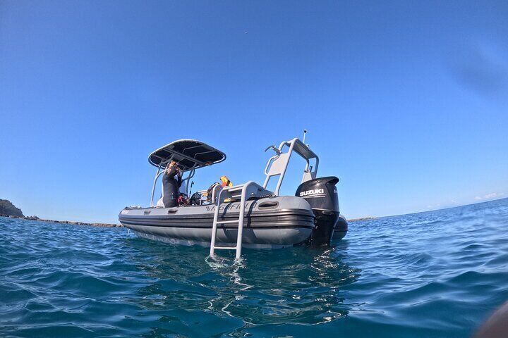 Goat Island Experience Guided Boat Dive