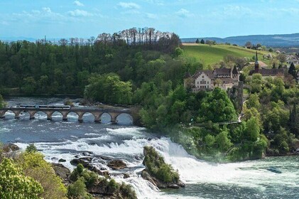 Guided Day Trip to Rhine Falls from Zurich