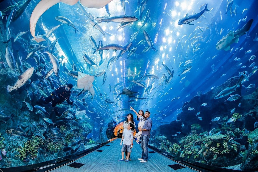 Apri foto 5 di 7. Family visits the Dubai Aquarium & Underwater Zoo