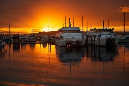 Port Stephens: Sunset on the Bay Cruise