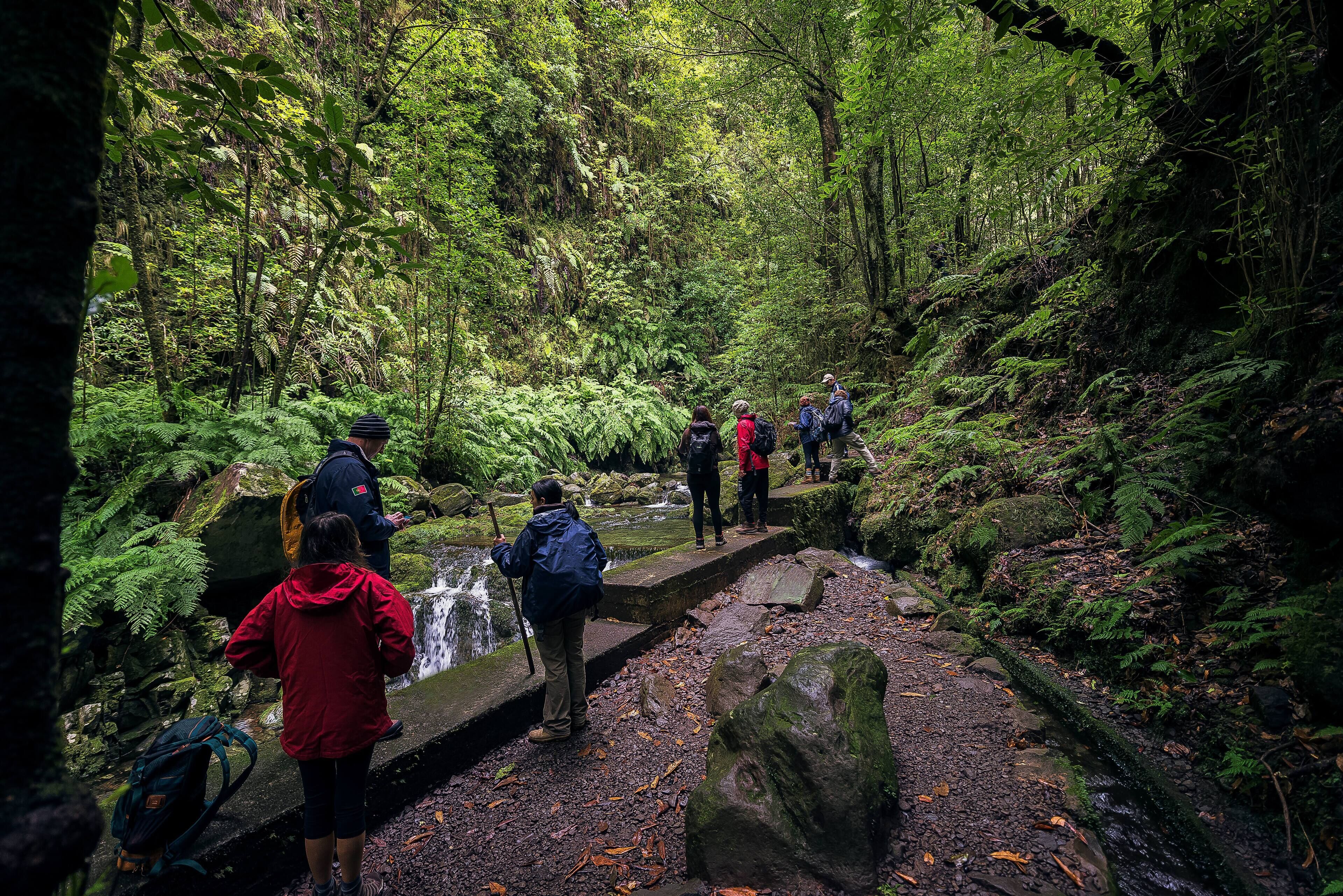 Levada Hidden Corners - Levada do Rei