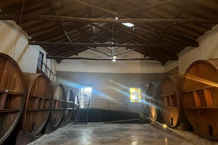 Flavors of Mendocinos