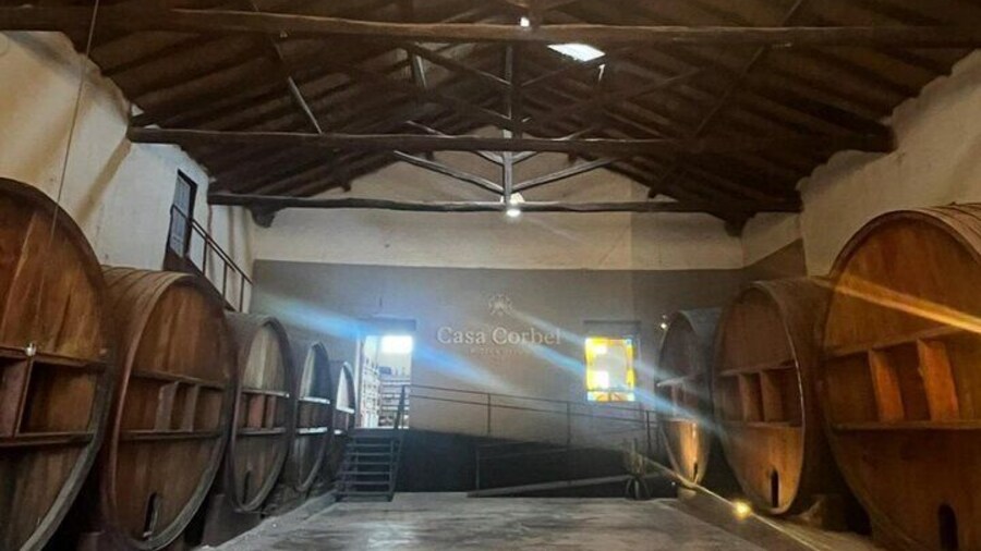 Flavors of Mendocinos