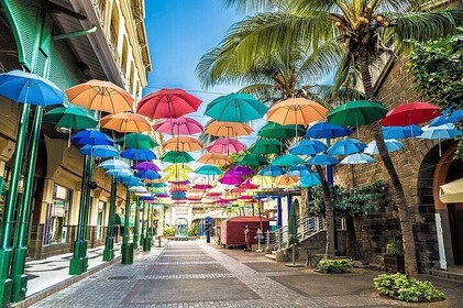 Mauritius North Island Discovery Tour